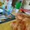 B&B Giunone