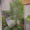 Designer Boutique Apartments Graz Trauttmansdorffgasse