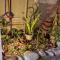 R Garden Studio 2 moderne pour couple dans un cadre relaxant et confortable - Port Louis