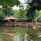 Esquinas Rainforest Lodge