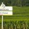 Le Clos Violet - Escapade en Bourgogne
