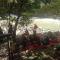 Sawah Resto Bungalow & Jungle Trekking - 武吉拉旺
