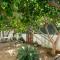 Diamante Guest House-Ground