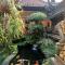 Arjuna Homestay Ubud Arjuna Homestay Ubud