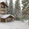 Ana Hotels Bradul Poiana Brasov Ana Hotels Bradul Poiana Brasov