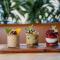 The Hi-Lo, Autograph Collection - Portland