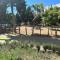 Forest near to the beach قرب المستشفى الجامعي طنجة - Daidatz