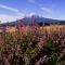 Shoji Mount Hotel - Vacation STAY 78001v