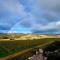 Beautiful vineyard stay