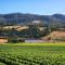 Beautiful vineyard stay