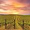 Beautiful vineyard stay