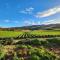 Beautiful vineyard stay