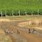 Beautiful vineyard stay