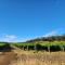Beautiful vineyard stay