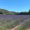 Le Petit Paradis Provençal - 普罗旺斯地区阿莱马尼