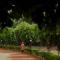 BnBBuddy 2 BHK Aravalli Hills view in Gurugram - Gurgaon