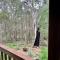Silvertrees - In Town - Margaret River