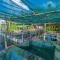THE Mangrove cave Hotel