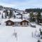 ReveEnka - cabin in Trysil with Jacuzzi for rent - Trysil