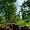 The Cottage Sigiriya
