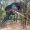 Treehouse at Kamp - Dhanwār