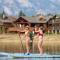 Anglers Paradise - Located on Lake Estes, Fireplace, Two Large Patios, and Private Jacuzzi - استيس بارك