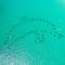 Inlet Reef 405- by Holiday Isle Properties - ديستين