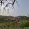 Nova Panorama