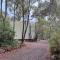 Grevillea at Porongurup Chalets