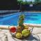 House Runjic with pool, large garden and playground - Prgomet
