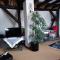 Loft Ziegelei