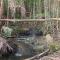 Montville Country Cabins