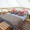 Glamping Meadow Bell Tent - Stithians