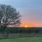 Saddleview Farm, Galway - 威廉斯敦