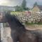 Moneydarragh Cottage with uninterrupted mountain and sea views- Hot tub available for hire - Annalong