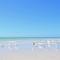 Newly remodeled 8-steps to sand path of Beach! Unit D - Siesta Key