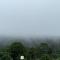 The Caligo resort coorg