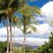 ISLANDS PEARL Modern Islands at Mauna Lani with Three Masters Bikes - وايكولوا