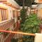 Hotel Casa Vertiz