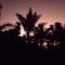 Hidden Gem RUWARI