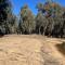 River Frontage Unit Moama