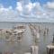 Cozy B- condo in charming Corpus Christi with WiFi, AC near Laguna Madre