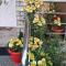 Tranquil Retreat Homestay
