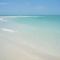 Newly Remodeled Apt! Key-West Victorian with beach access, to Siesta Key Beach! - Siesta Key