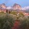 Olive Grove