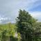Bryn Rhedyn cottage - Cwm-y-glo