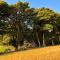 Cherry Tree Lodge - 因弗内斯
