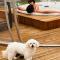 VILLA PATTY ASSISI con SPA - 阿西西