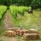 Agriturismo Guerritore - 巴罗尼西