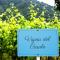 Agriturismo Guerritore - 巴罗尼西